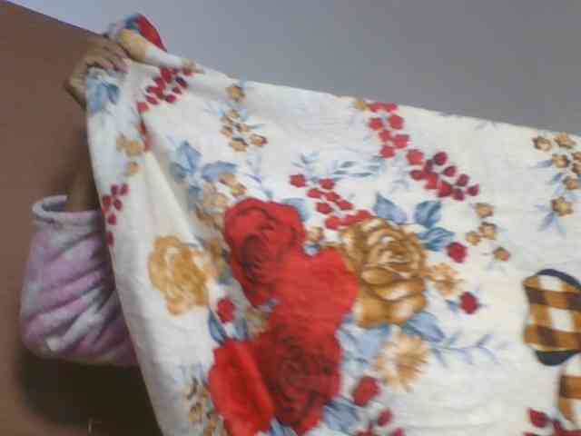Sibelia1 webcam