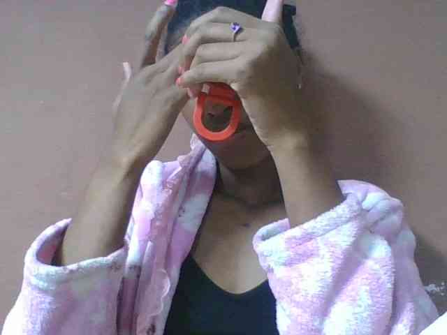 Sibelia1 webcam