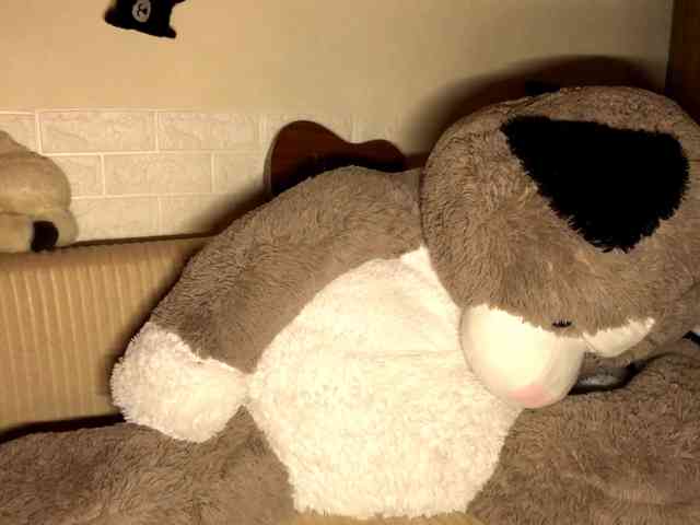JenaVenanzi webcam