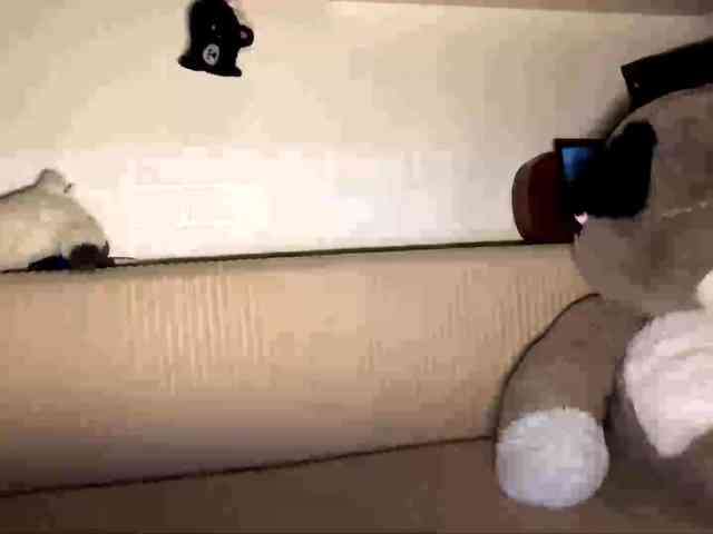 jenavenanzi's live room