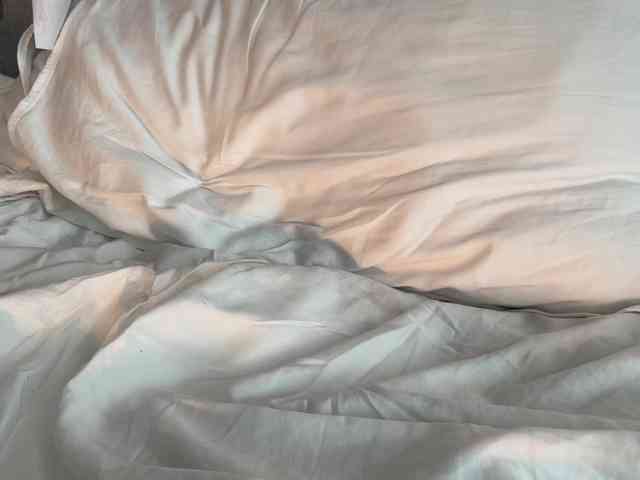 cupcakepancake webcam