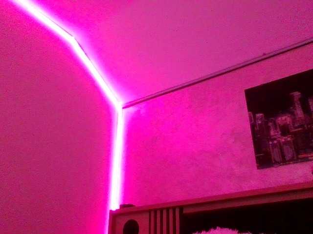 xLexi
