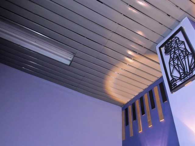 Yarasaint live webcam show