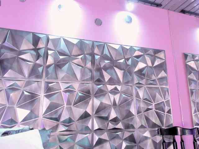 Yarasaint webcam