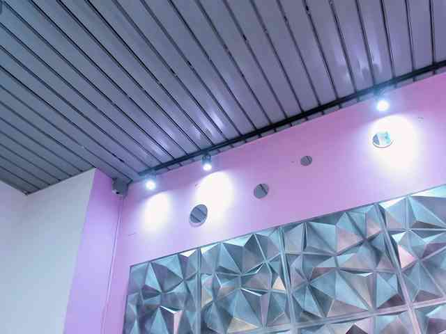 Yarasaint webcam