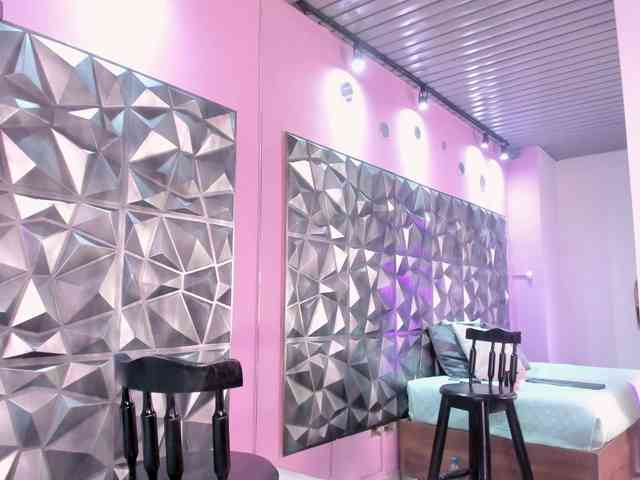 Yarasaint webcam