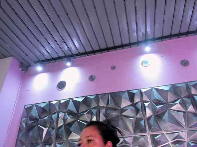 Yarasaint webcam