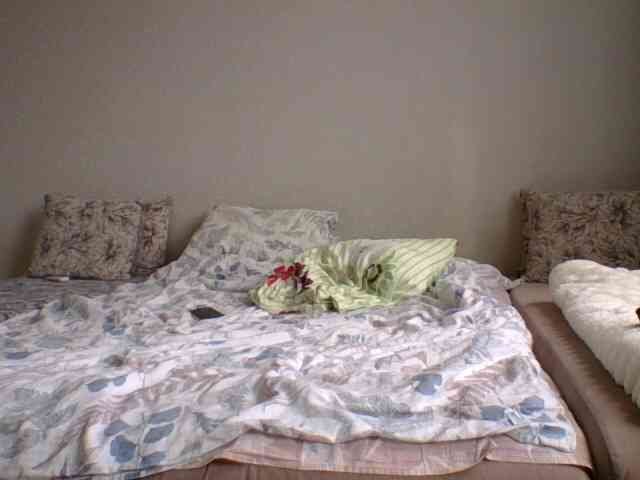 Iremka webcam