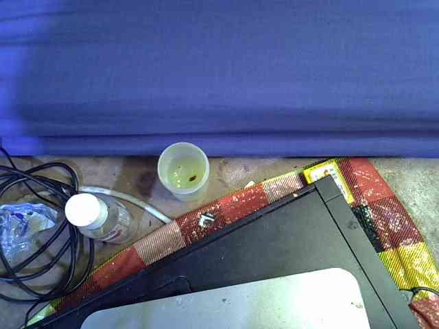 Slender-kerry webcam