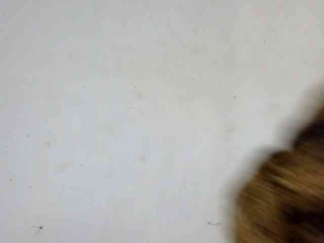 Sexy-tasha webcam