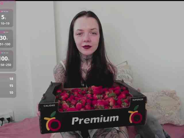OVERKO-4 webcam
