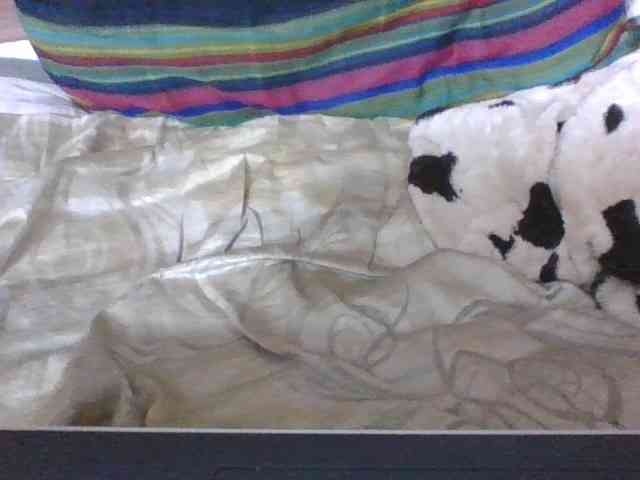 Aimealdy webcam