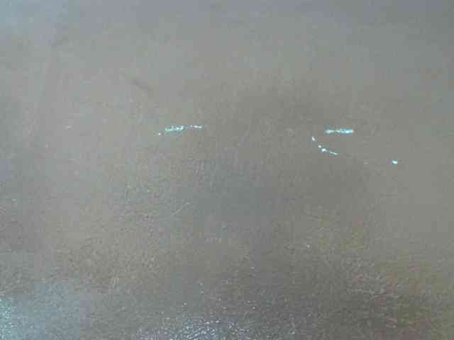 Tharcile webcam