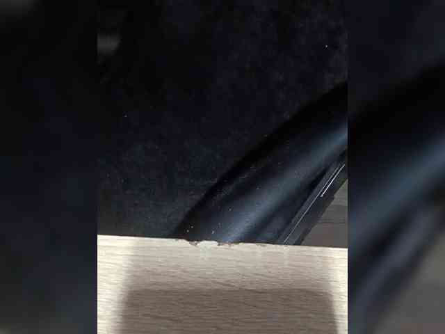 1mAngel webcam