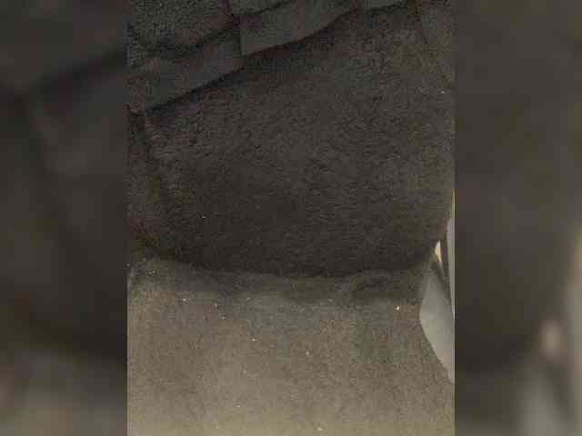 1mAngel webcam