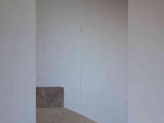 1mAngel webcam