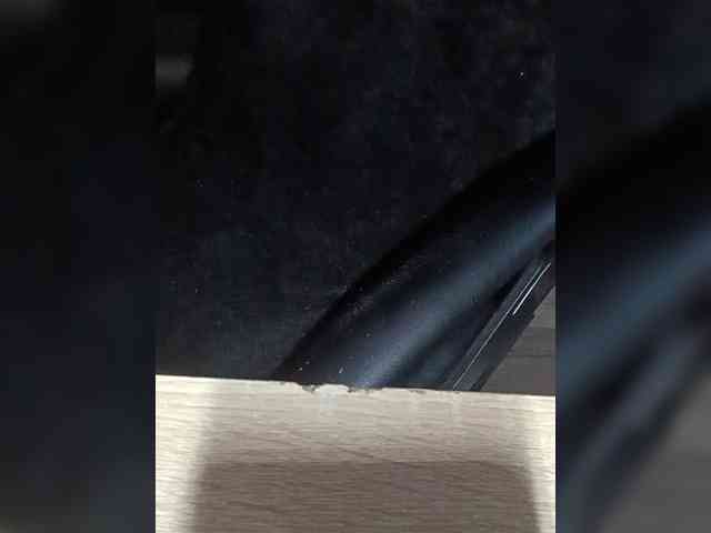1mAngel webcam