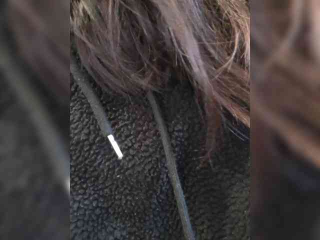 1mAngel webcam