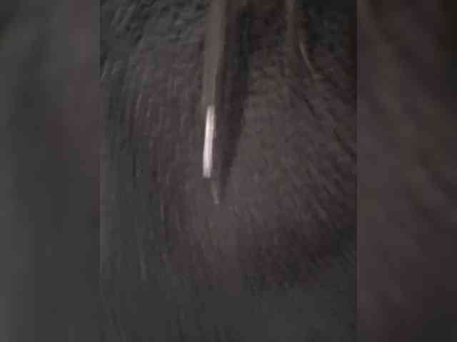 1mAngel webcam