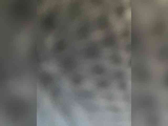 1mAngel webcam