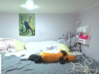 LittleKittenStar