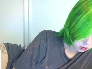 LittleKittenStar