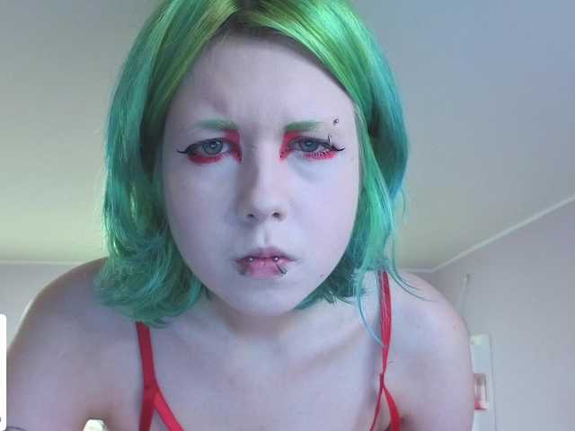 LittleKittenStar