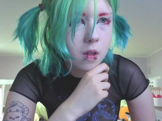 LittleKittenStar