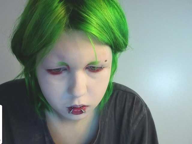 LittleKittenStar