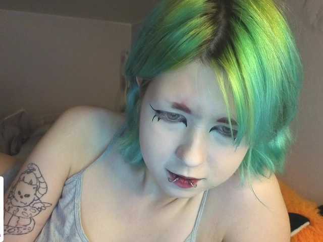 LittleKittenStar