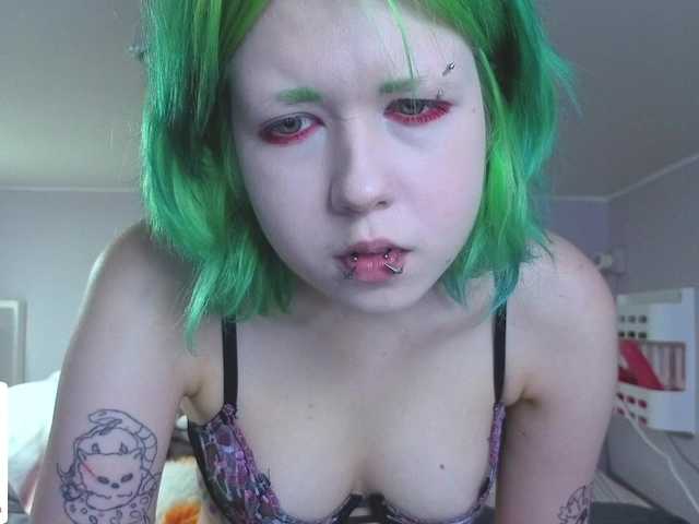LittleKittenStar