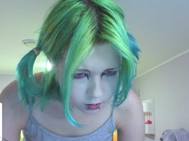 LittleKittenStar