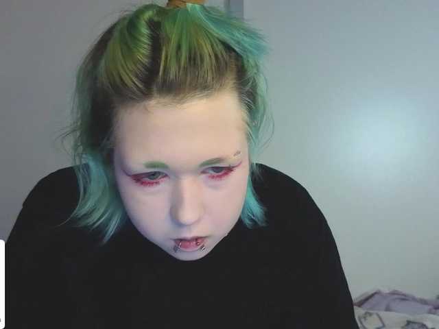 LittleKittenStar