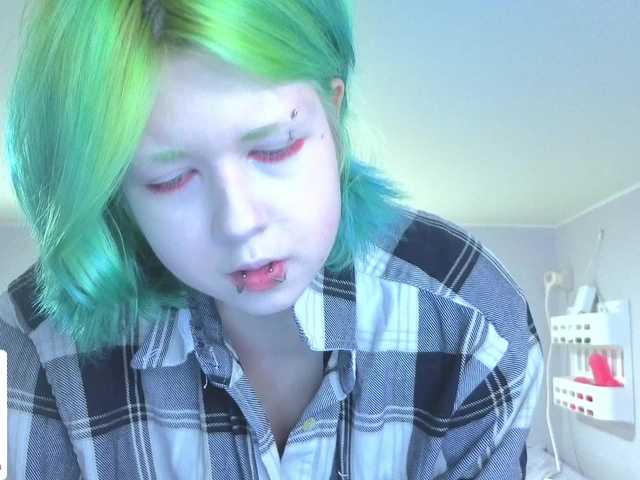 LittleKittenStar