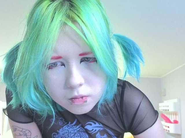 LittleKittenStar