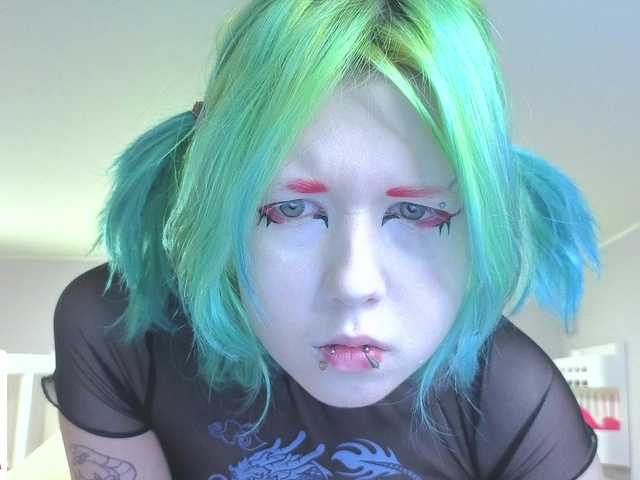 LittleKittenStar