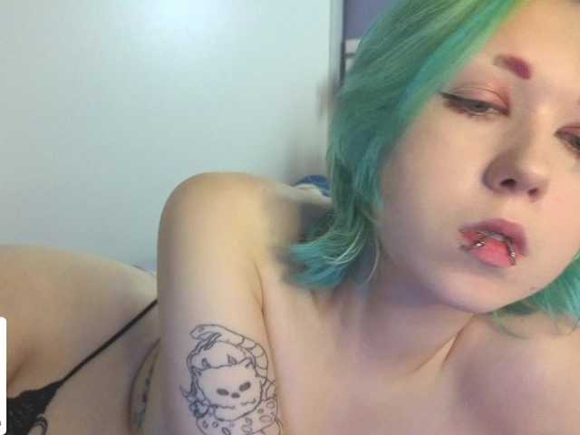 LittleKittenStar