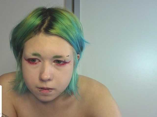LittleKittenStar