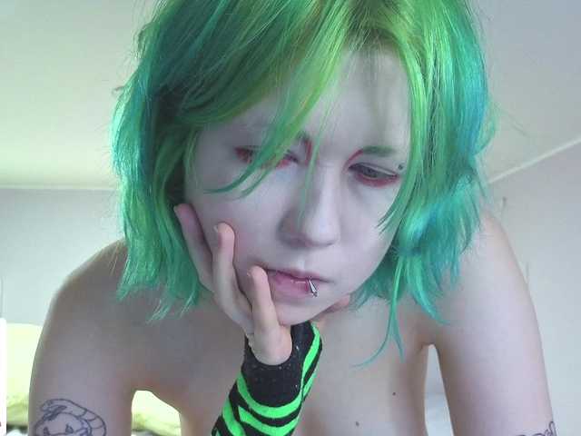 LittleKittenStar