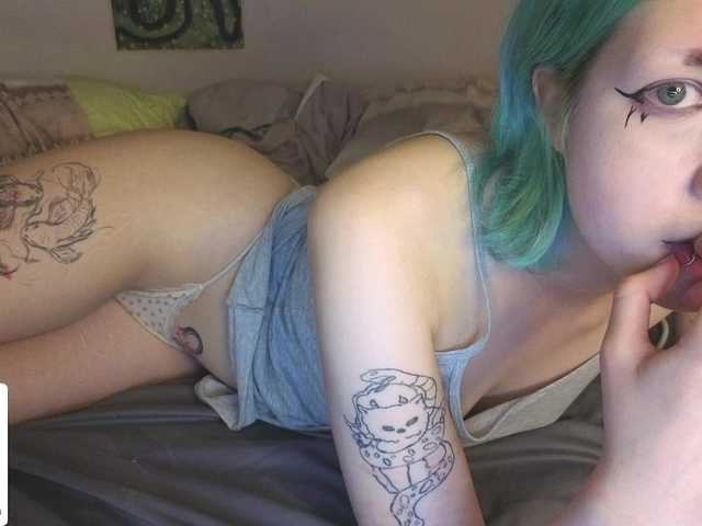 LittleKittenStar