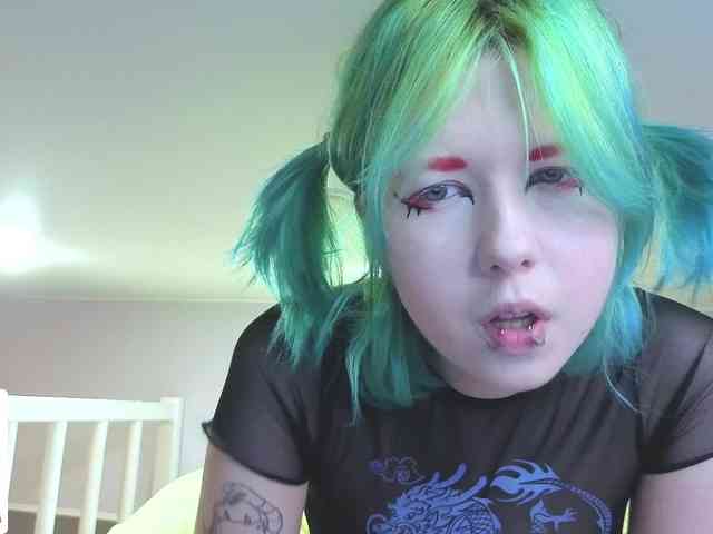 LittleKittenStar