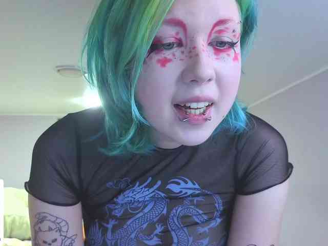 LittleKittenStar webcam