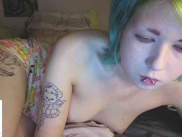 LittleKittenStar webcam