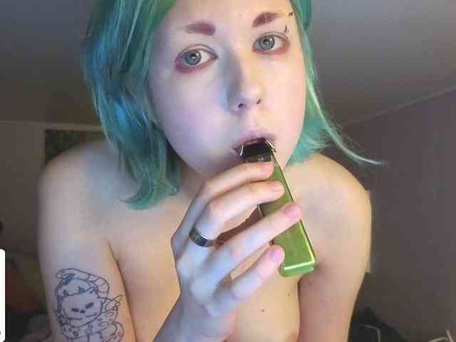LittleKittenStar LittleKittenStar