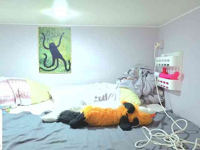 LittleKittenStar webcam
