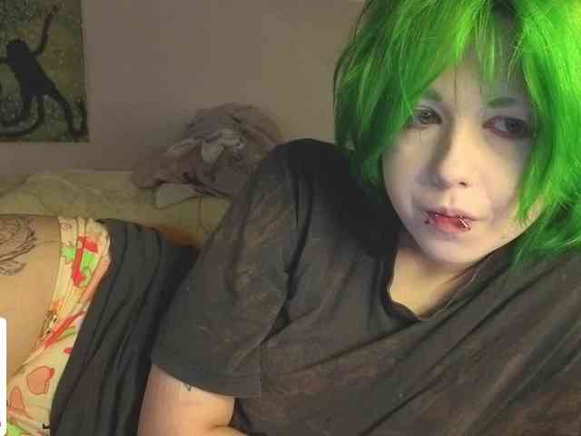 LittleKittenStar webcam