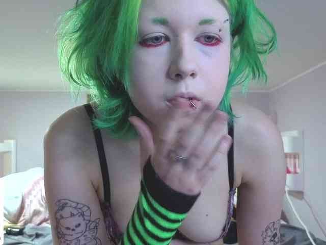 LittleKittenStar