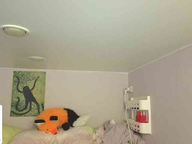 LittleKittenStar webcam