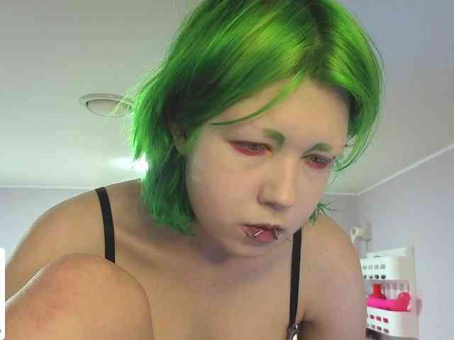 LittleKittenStar LittleKittenStar