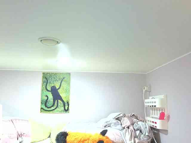 LittleKittenStar webcam